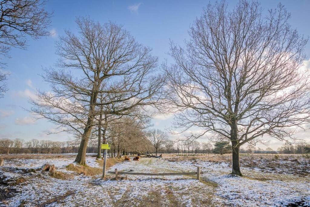 Doldersum Leva - Logeren In Drenthe 빌라 외부 사진