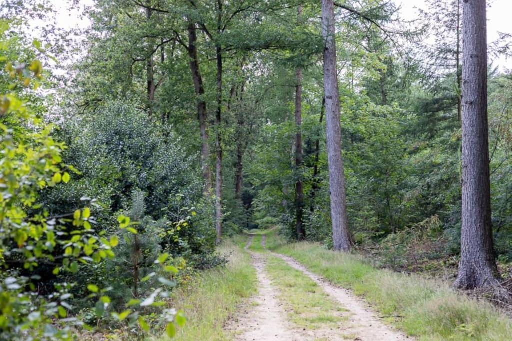Doldersum Leva - Logeren In Drenthe 빌라 외부 사진