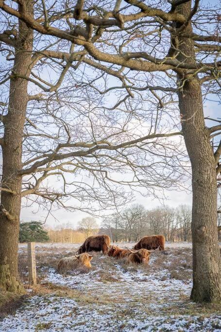 Doldersum Leva - Logeren In Drenthe 빌라 외부 사진