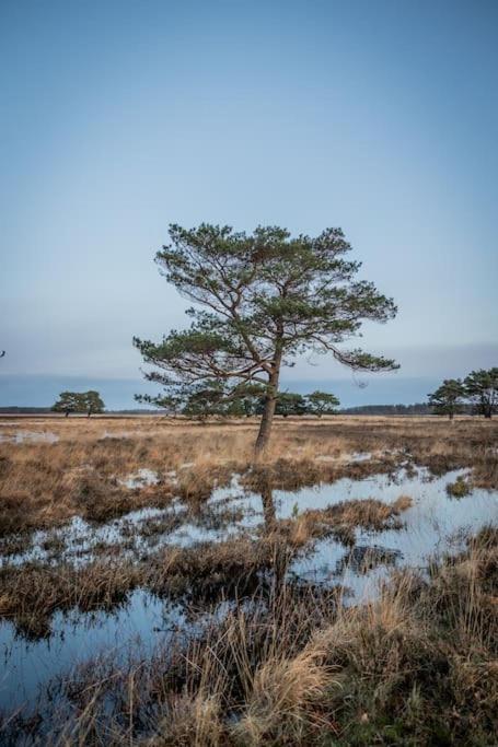 Doldersum Leva - Logeren In Drenthe 빌라 외부 사진