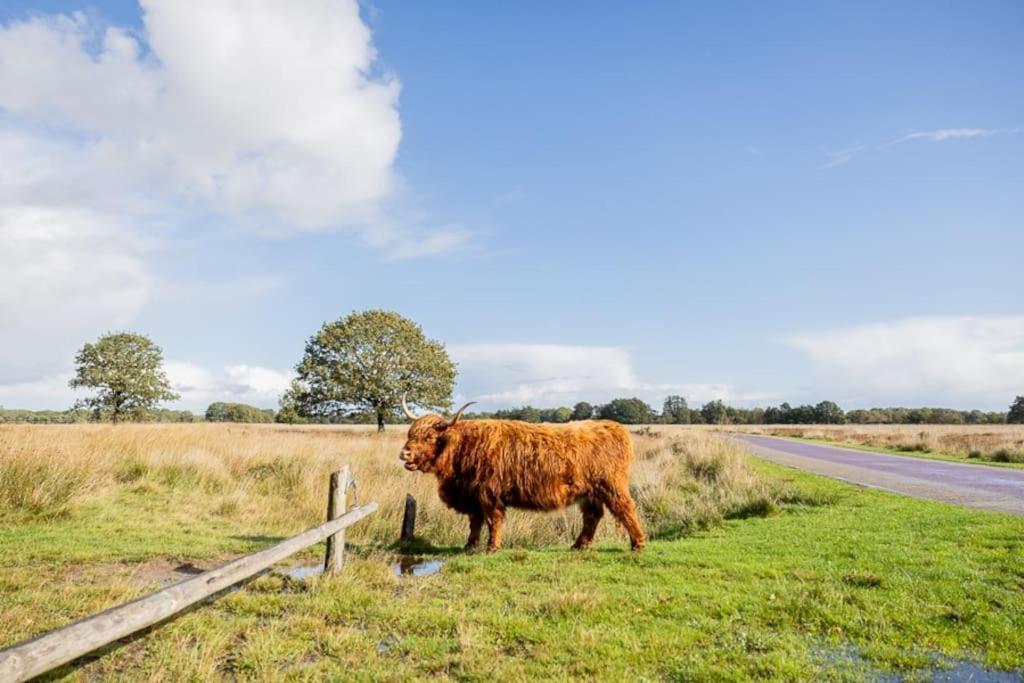 Doldersum Leva - Logeren In Drenthe 빌라 외부 사진